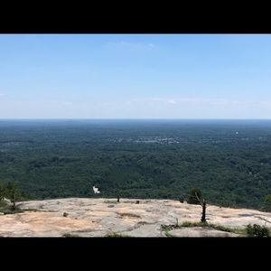 Meet your Posher, Bo